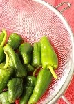 padron pieni(107x160)