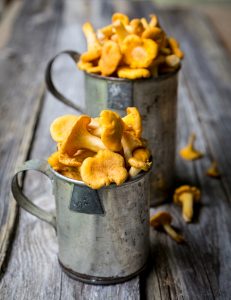 kantarellivartaat, kantarellit, kantarelliruoka, grillatut kantarellit, kantarellipasta