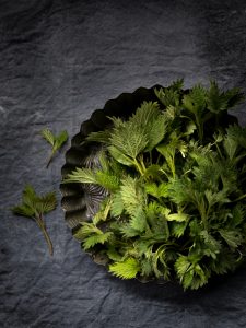 nokkospannukakku, nokkosruokia, hortoilu, nokkonen