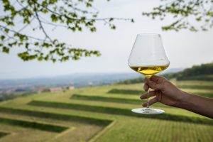 etnan viinit, viinimatka sisiliaan, sisilia, benantin viinit, cucumano, graci, sisilialaiset viinit, matka sisiliaan, sisilian viinitilat