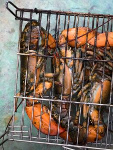 grillttu hummeri, grillaus, grillatut äyriäiset, penedes, finaca la caseta, maatalomajoitus penedeksessä