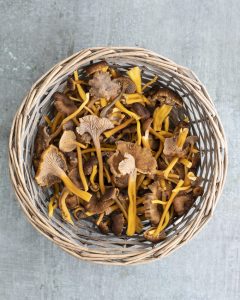 sienialkupala, sienikrustadit, syysalkupala, suppilovahveroalkupala, sienicocktailpala