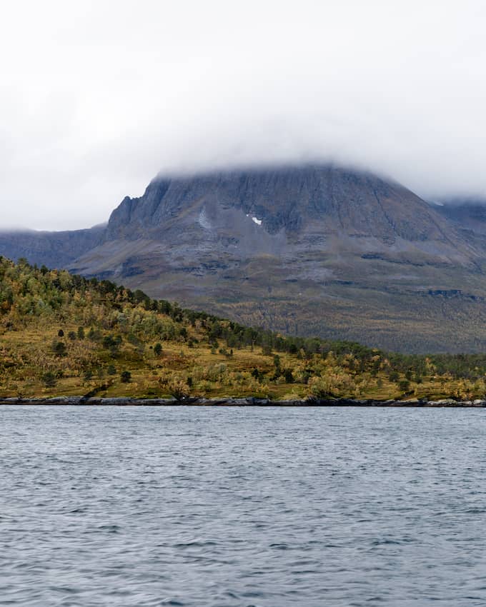 Katkarapu, norja, tromssa